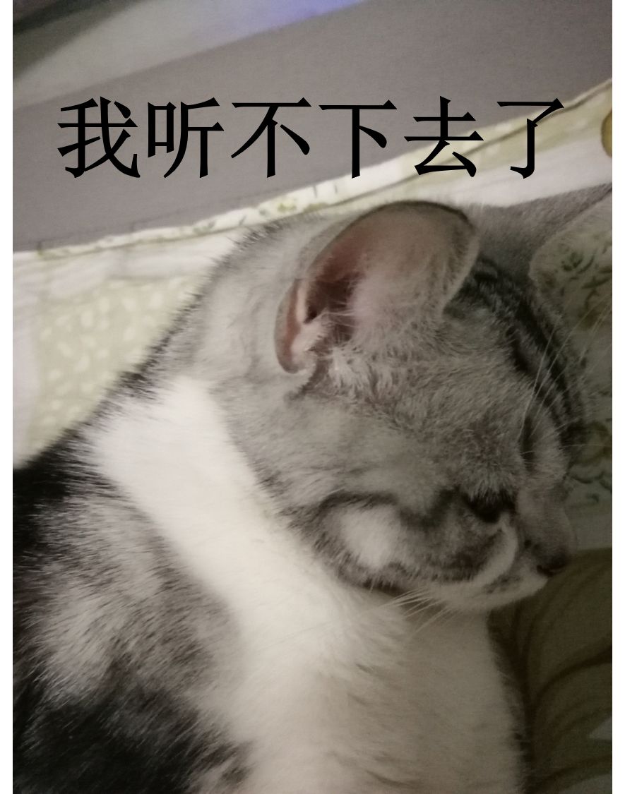 DƬ